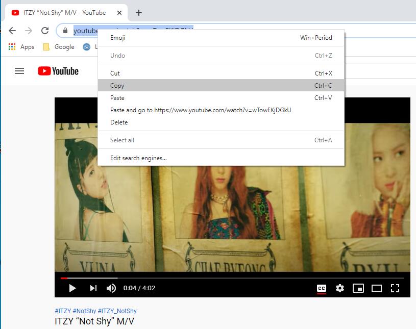 copy video link